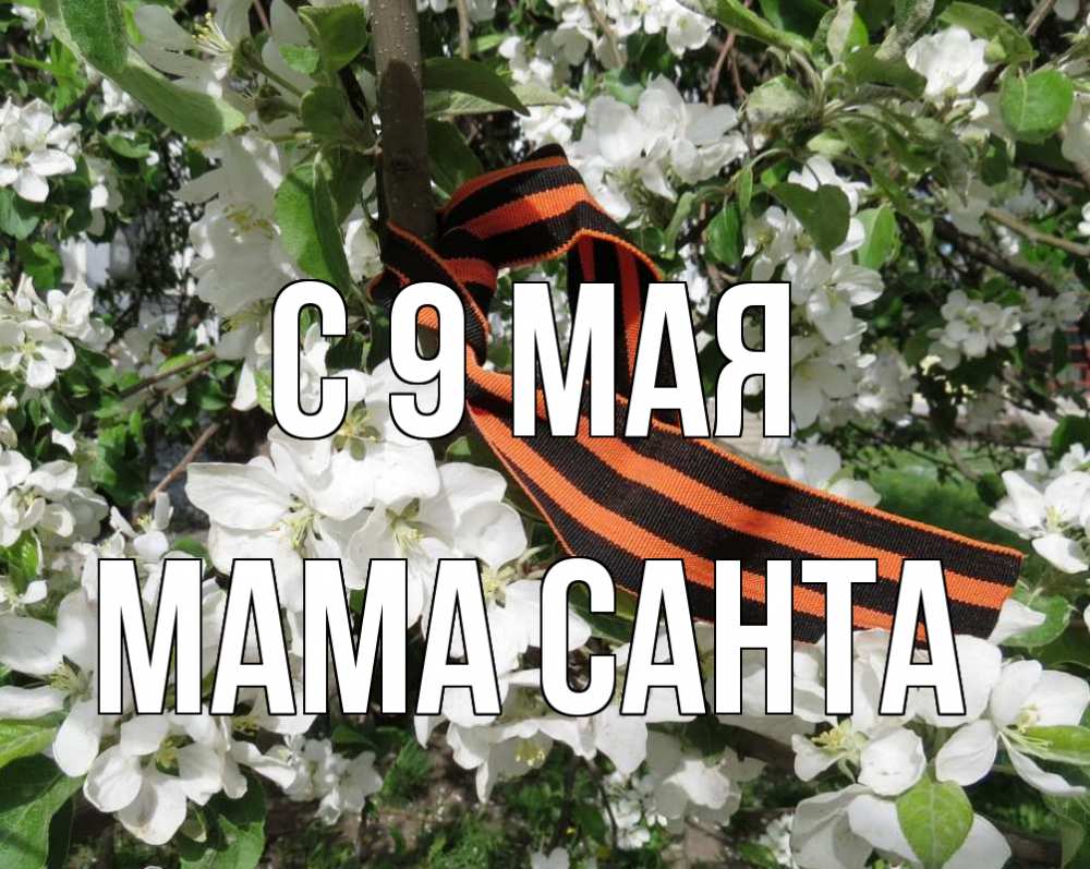 Открытка на каждый день с именем, Мама-Санта С 9 мая 9 мая Прикольная открытка с пожеланием онлайн скачать бесплатно 