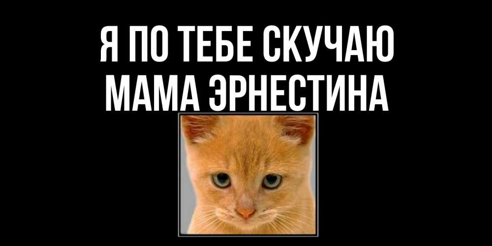 Открытка на каждый день с именем, Мама-Эрнестина Я по тебе скучаю открытки рыжий котенок скучает по тебе Прикольная открытка с пожеланием онлайн скачать бесплатно 
