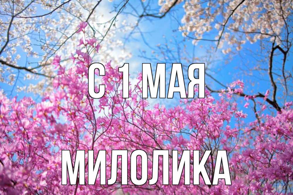 Открытка на каждый день с именем, Милолика С 1 мая С 1 мая Прикольная открытка с пожеланием онлайн скачать бесплатно 