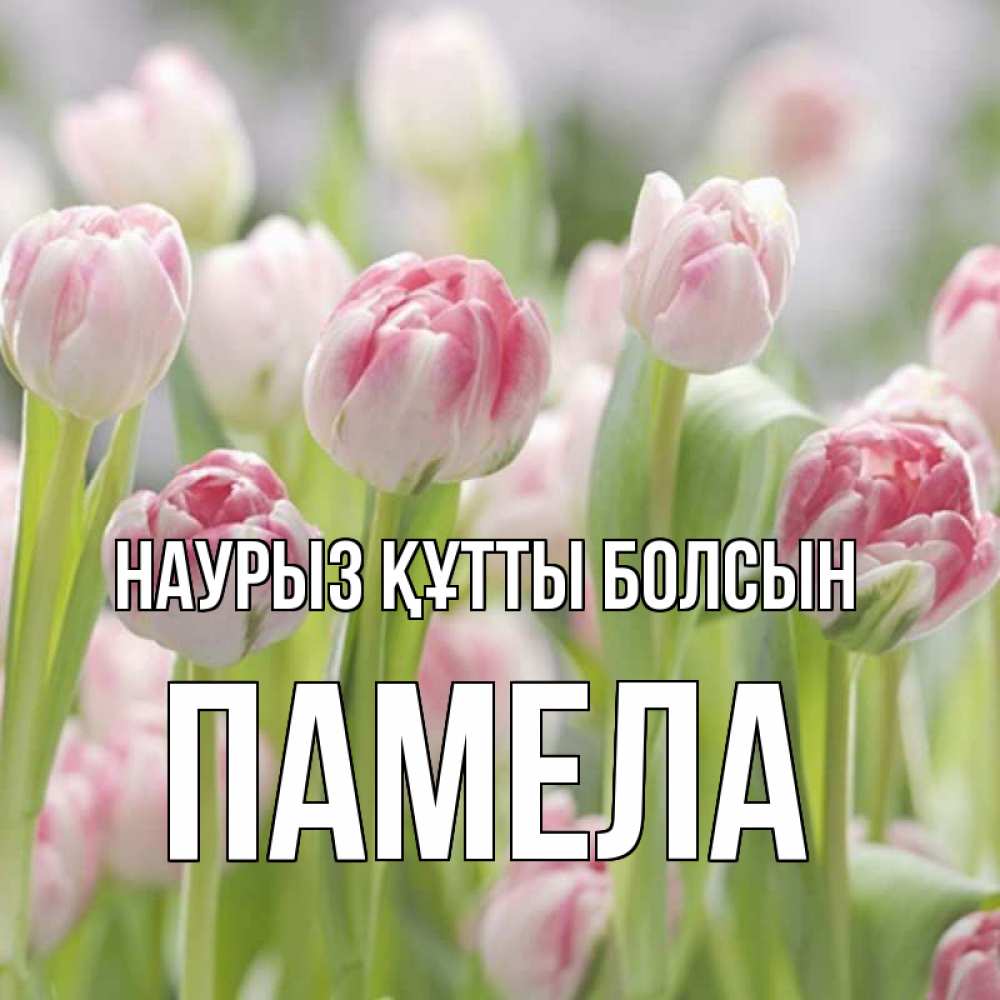 Открытка на каждый день с именем, Памела Наурыз құтты болсын цветы Прикольная открытка с пожеланием онлайн скачать бесплатно 