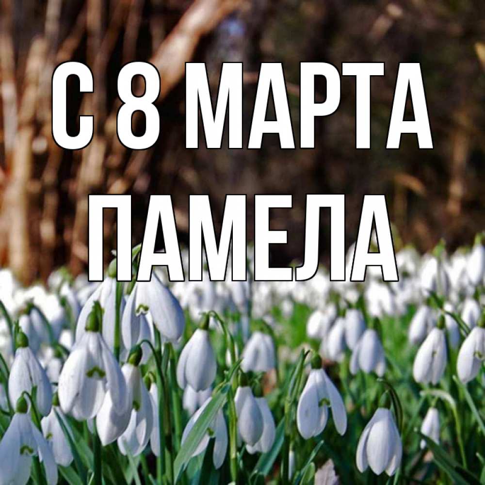 Открытка на каждый день с именем, Памела С 8 марта с подснежниками 1 Прикольная открытка с пожеланием онлайн скачать бесплатно 