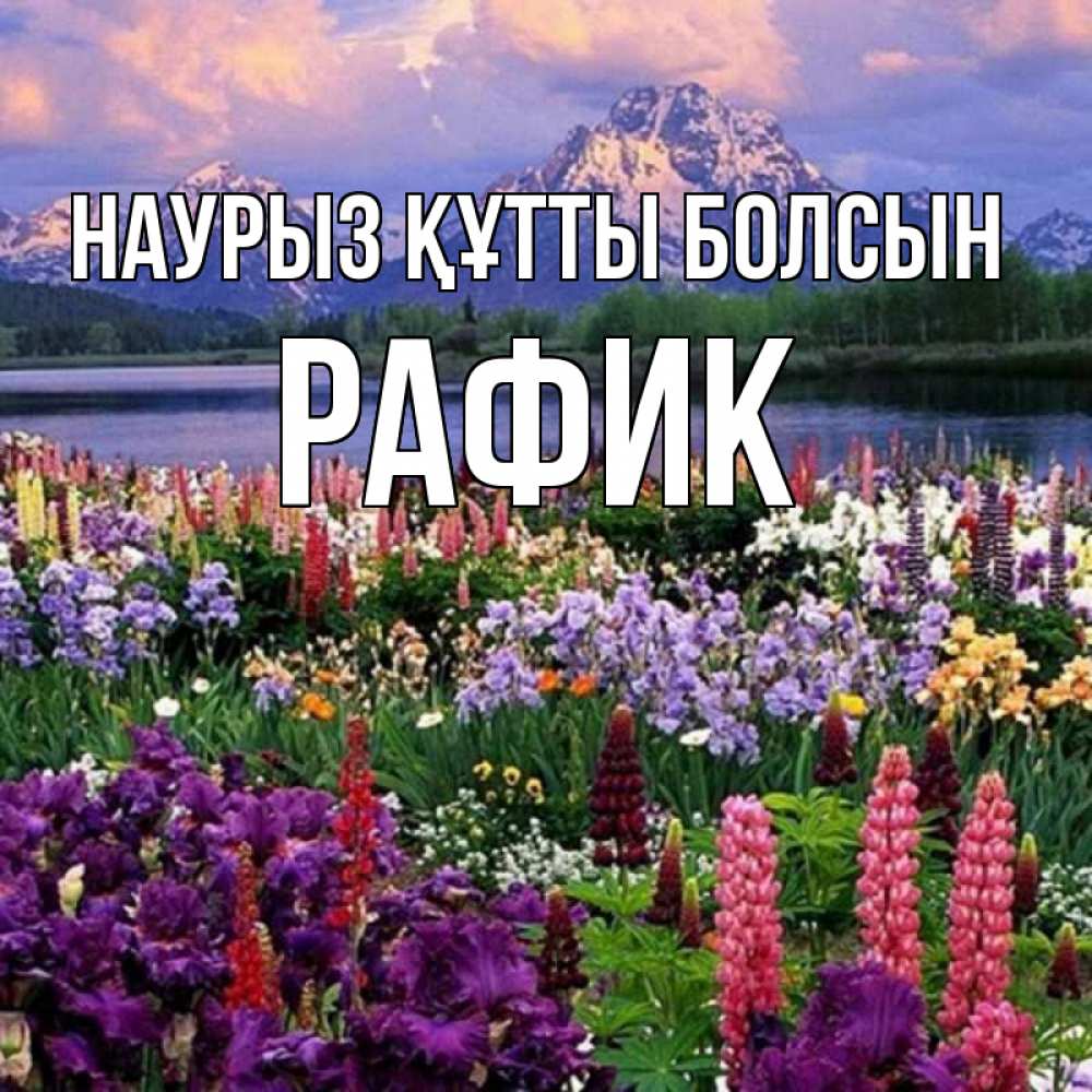 Открытка на каждый день с именем, Рафик Наурыз құтты болсын наурыз Прикольная открытка с пожеланием онлайн скачать бесплатно 