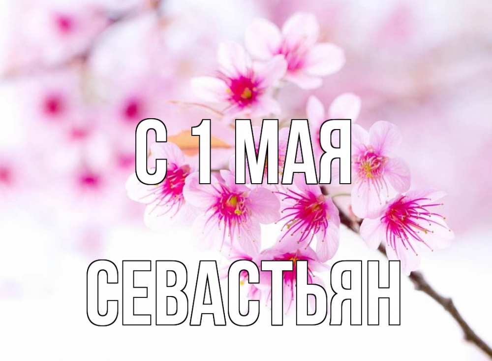 Открытка на каждый день с именем, Севастьян С 1 мая С 1 мая 2 Прикольная открытка с пожеланием онлайн скачать бесплатно 