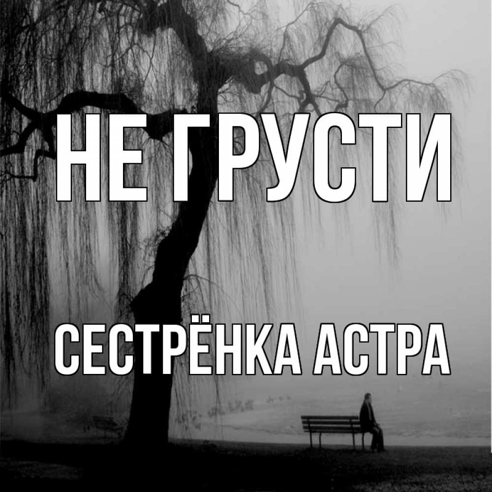 Открытка на каждый день с именем, Сестрёнка-Астра Не грусти висящие ветки дерева и лавочка под деревом Прикольная открытка с пожеланием онлайн скачать бесплатно 