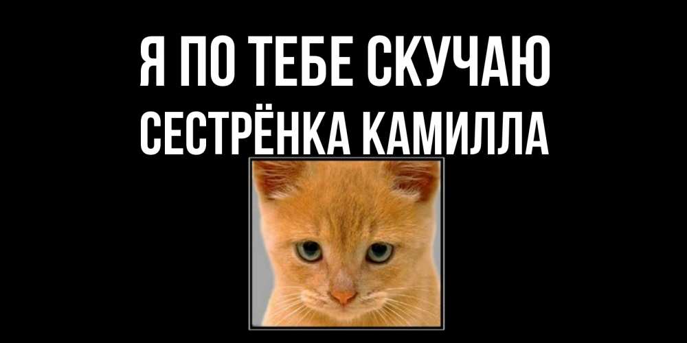 Открытка на каждый день с именем, Сестрёнка-Камилла Я по тебе скучаю открытки рыжий котенок скучает по тебе Прикольная открытка с пожеланием онлайн скачать бесплатно 