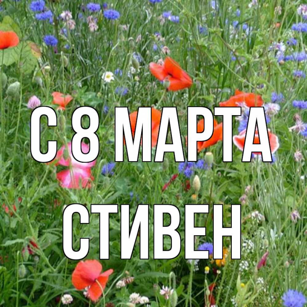 Открытка на каждый день с именем, Стивен С 8 марта международный женский день 4 Прикольная открытка с пожеланием онлайн скачать бесплатно 