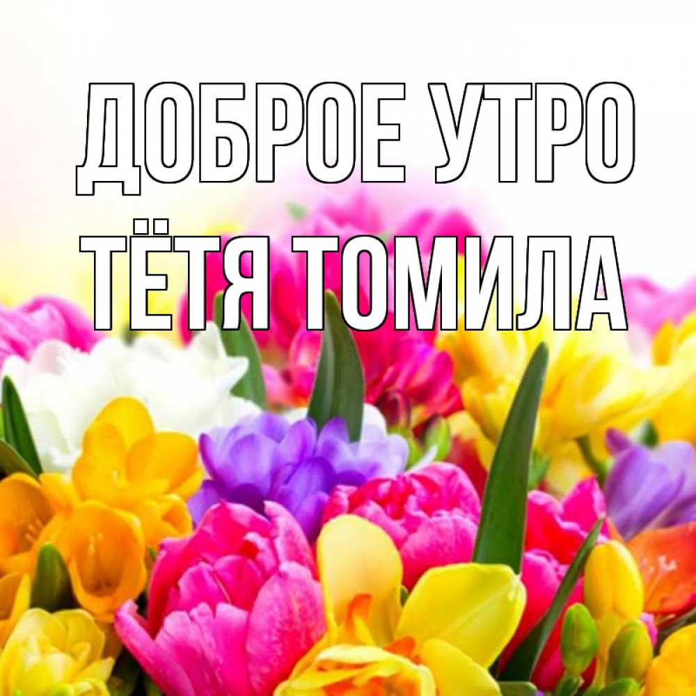 Открытка на каждый день с именем, Тётя-Томила Доброе утро создать открытку со свое подписью Прикольная открытка с пожеланием онлайн скачать бесплатно 