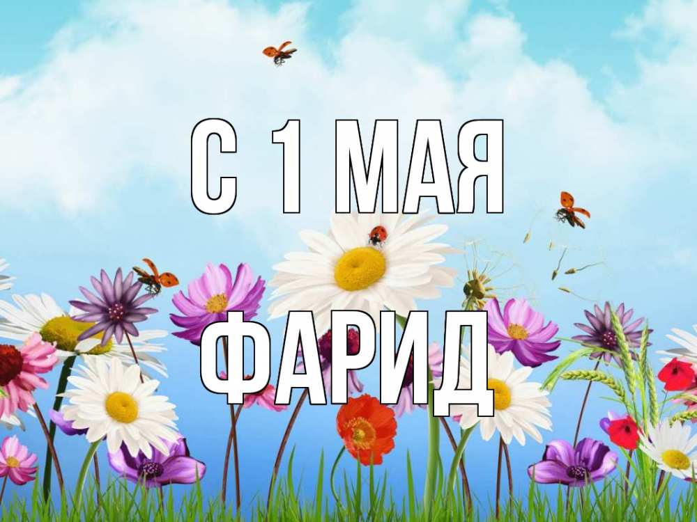 Открытка на каждый день с именем, Фарид С 1 мая С 1 мая Прикольная открытка с пожеланием онлайн скачать бесплатно 