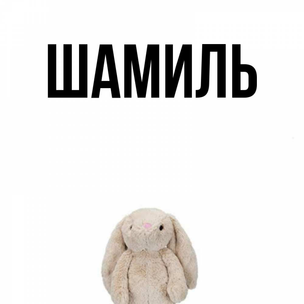 Открытка на каждый день с именем, Шамиль Главная детская игрушка зайчика Прикольная открытка с пожеланием онлайн скачать бесплатно 