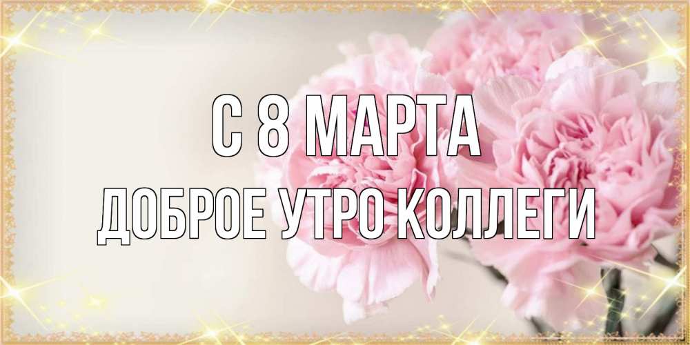 Открытка на каждый день с именем, Доброе-утро-Коллеги С 8 марта открытка с розовыми цветами в рамочке с подписью на 8 марта Прикольная открытка с пожеланием онлайн скачать бесплатно 