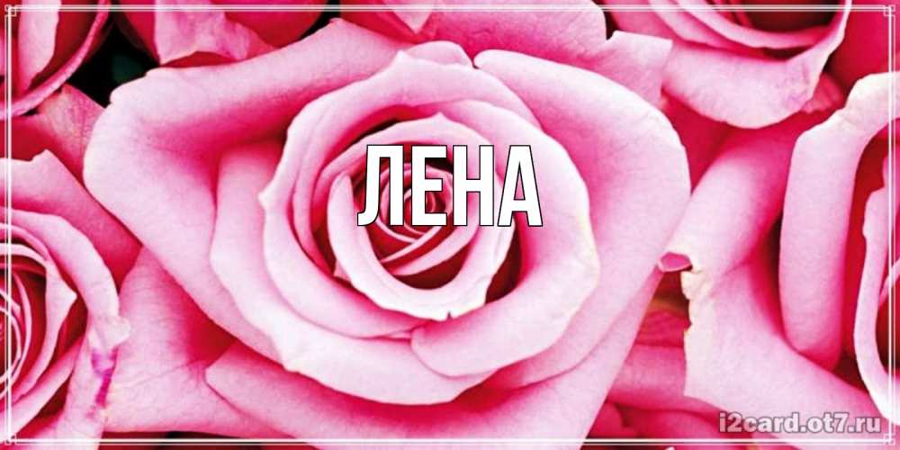 Открытка на каждый день с именем, Лена Главная роза розовая на день Святого Валентина Прикольная открытка с пожеланием онлайн скачать бесплатно 