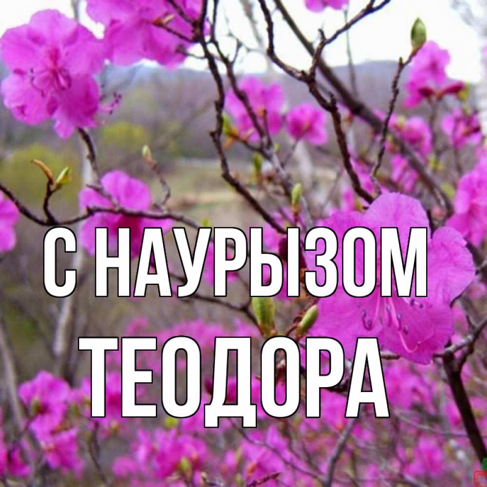 Открытка на каждый день с именем, Теодора С наурызом праздник весны наурыз Прикольная открытка с пожеланием онлайн скачать бесплатно 