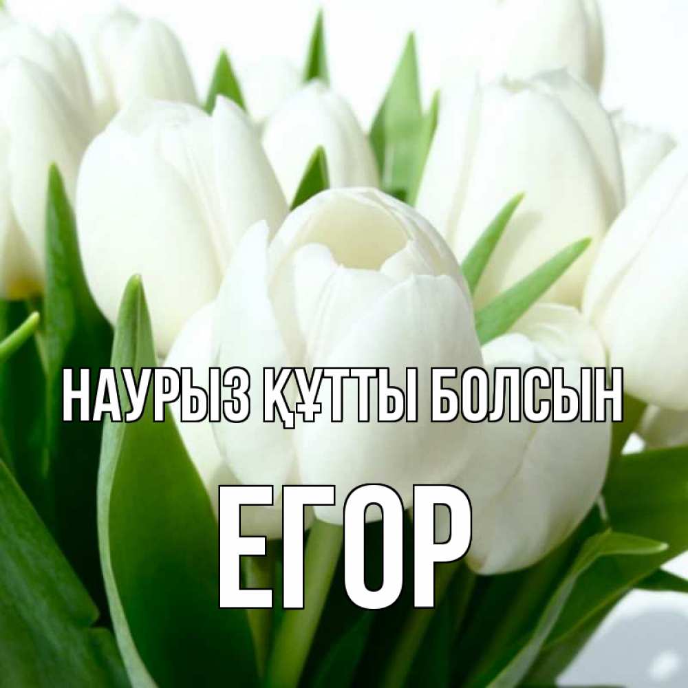 Открытка на каждый день с именем, Егор Наурыз құтты болсын цветы Прикольная открытка с пожеланием онлайн скачать бесплатно 