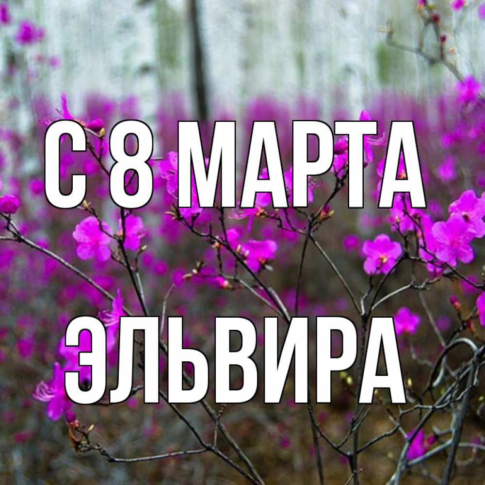 Открытка на каждый день с именем, Эльвира С 8 марта дикие цветы Прикольная открытка с пожеланием онлайн скачать бесплатно 