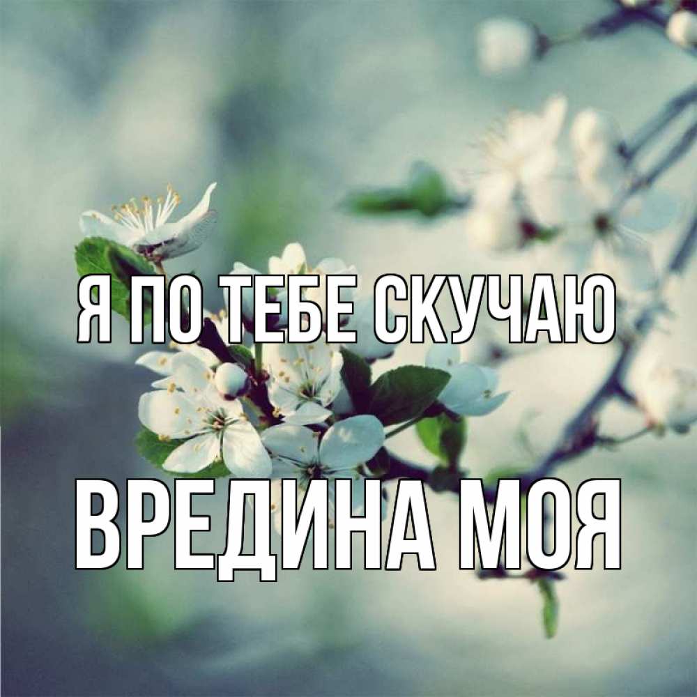 Картинка Я по тебе скучаю, Вредина моя