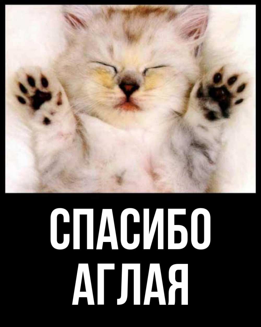 Открытка на каждый день с именем, Аглая Спасибо маленький котенок Прикольная открытка с пожеланием онлайн скачать бесплатно 