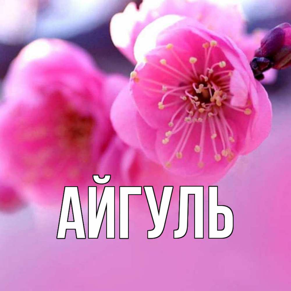 Открытка на каждый день с именем, Айгуль Главная международный женский день Прикольная открытка с пожеланием онлайн скачать бесплатно 