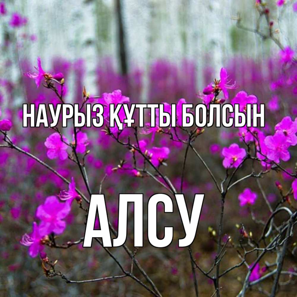 Открытка на каждый день с именем, Алсу Наурыз құтты болсын дикие цветы Прикольная открытка с пожеланием онлайн скачать бесплатно 