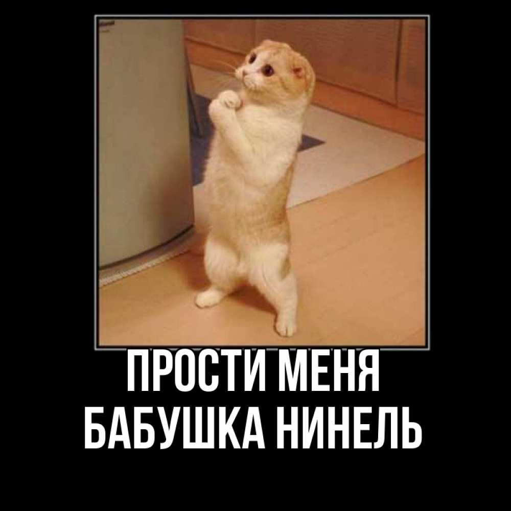 Открытка на каждый день с именем, Бабушка-Нинель Прости меня открытка с милым несчастным котиком просящим прощения Прикольная открытка с пожеланием онлайн скачать бесплатно 