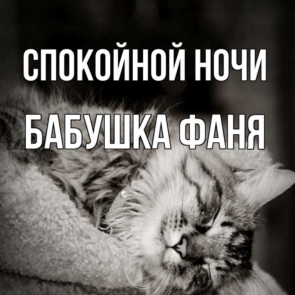 Открытка на каждый день с именем, Бабушка-Фаня Спокойной ночи котярик пушистый Прикольная открытка с пожеланием онлайн скачать бесплатно 