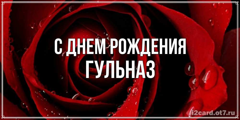 Открытка на каждый день с именем, Гульназ С днем рождения крупная бордовая роза Прикольная открытка с пожеланием онлайн скачать бесплатно 
