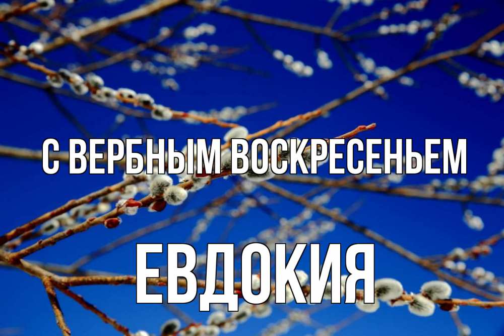 Открытка на каждый день с именем, Евдокия С вербным воскресеньем верба Прикольная открытка с пожеланием онлайн скачать бесплатно 
