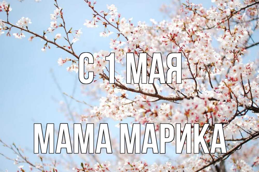 Открытка на каждый день с именем, Мама-Марика С 1 мая С 1 мая Прикольная открытка с пожеланием онлайн скачать бесплатно 