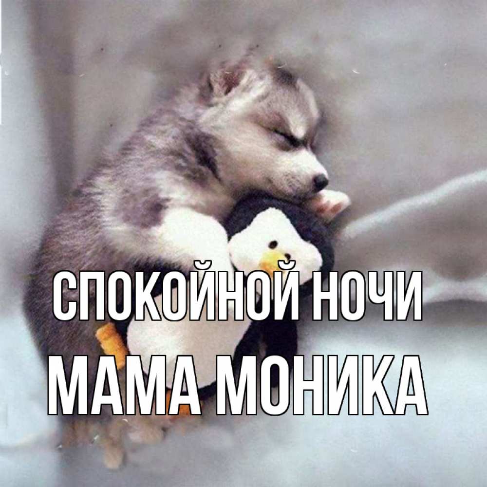 Открытка на каждый день с именем, Мама-Моника Спокойной ночи обнимашки щенка и пингвина Прикольная открытка с пожеланием онлайн скачать бесплатно 