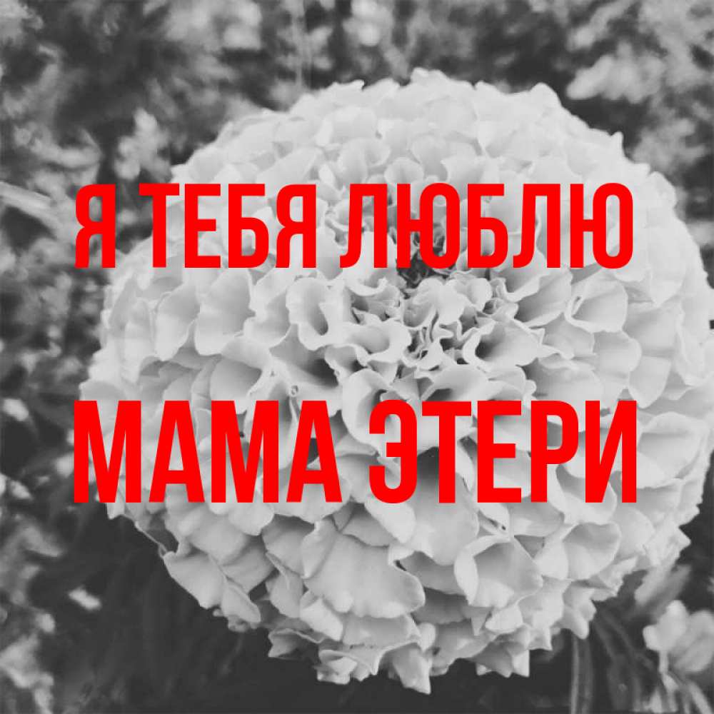 Открытка на каждый день с именем, Мама-Этери Я тебя люблю подпись Прикольная открытка с пожеланием онлайн скачать бесплатно 