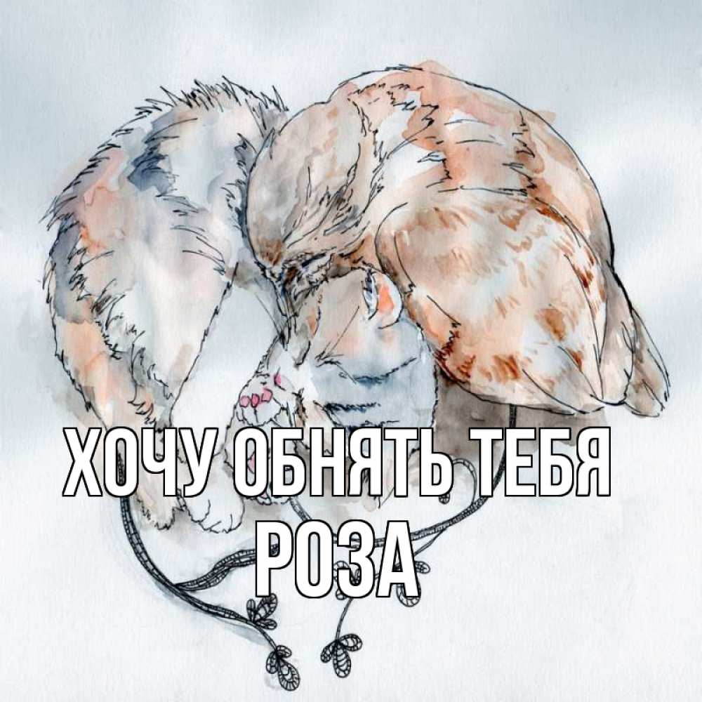 Открытка на каждый день с именем, Роза Хочу обнять тебя можно быть вместе даже когда очень разные Прикольная открытка с пожеланием онлайн скачать бесплатно 