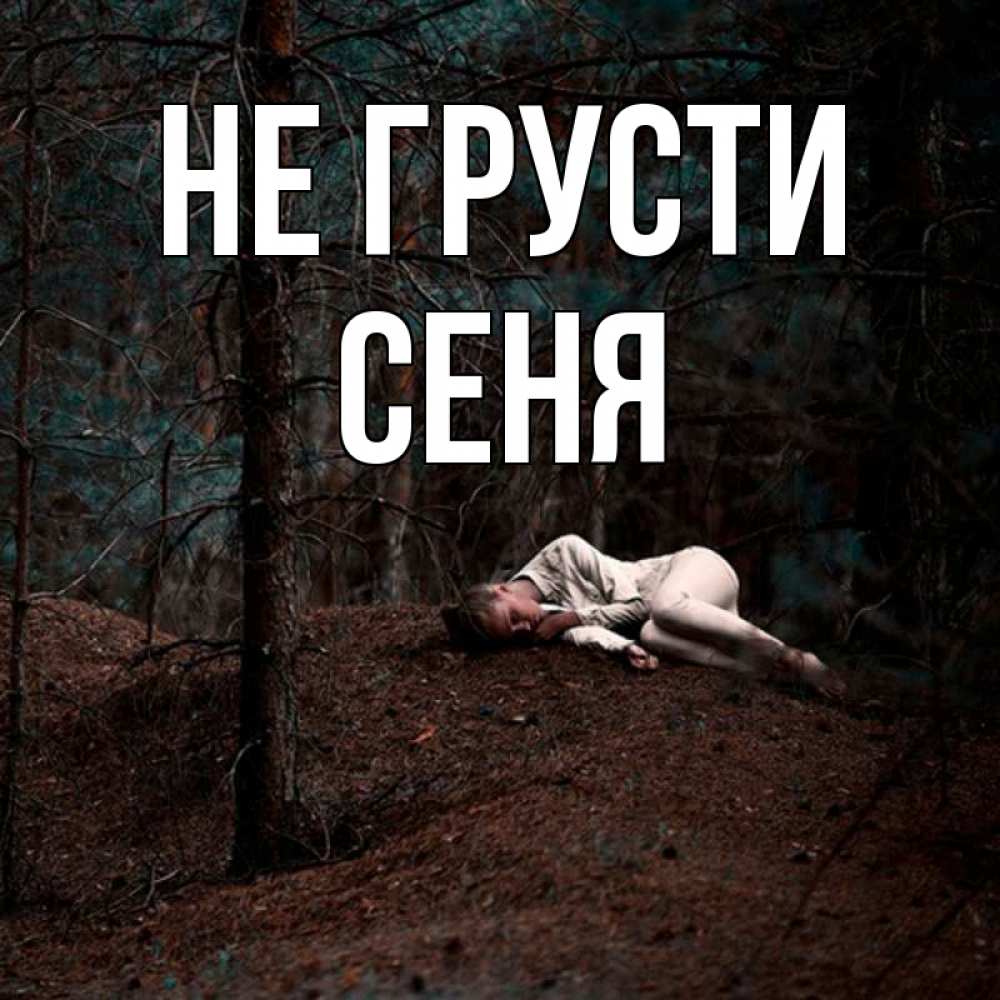 Открытка на каждый день с именем, Сеня Не грусти лес Прикольная открытка с пожеланием онлайн скачать бесплатно 