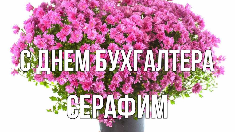 Открытка на каждый день с именем, Серафим С днем бухгалтера с днем бухгалтера Прикольная открытка с пожеланием онлайн скачать бесплатно 