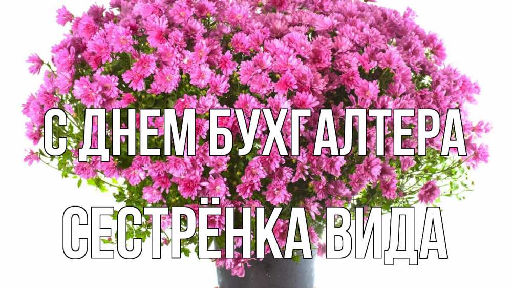 Открытка на каждый день с именем, Сестрёнка-Вида С днем бухгалтера с днем бухгалтера Прикольная открытка с пожеланием онлайн скачать бесплатно 