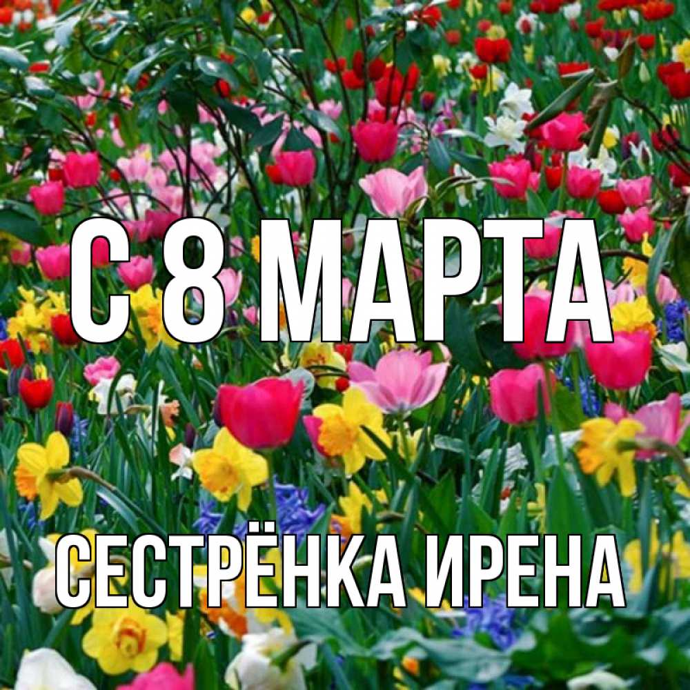 Открытка на каждый день с именем, Сестрёнка-Ирена С 8 МАРТА с международным женским днем поздравления для женщины Прикольная открытка с пожеланием онлайн скачать бесплатно 