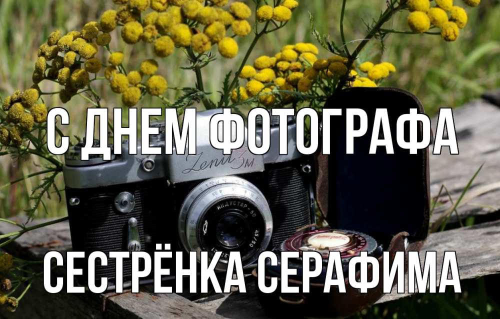 Открытка на каждый день с именем, Сестрёнка-Серафима С днем фотографа с днем фотографа Прикольная открытка с пожеланием онлайн скачать бесплатно 