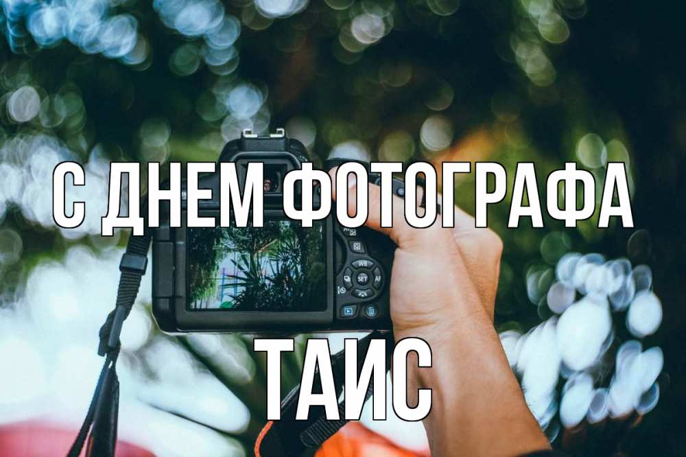 Открытка на каждый день с именем, Таис С днем фотографа с днем фотографа Прикольная открытка с пожеланием онлайн скачать бесплатно 