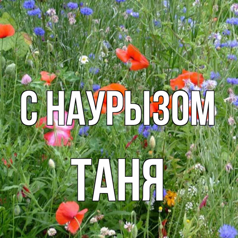 Картинка С наурызом, Таня