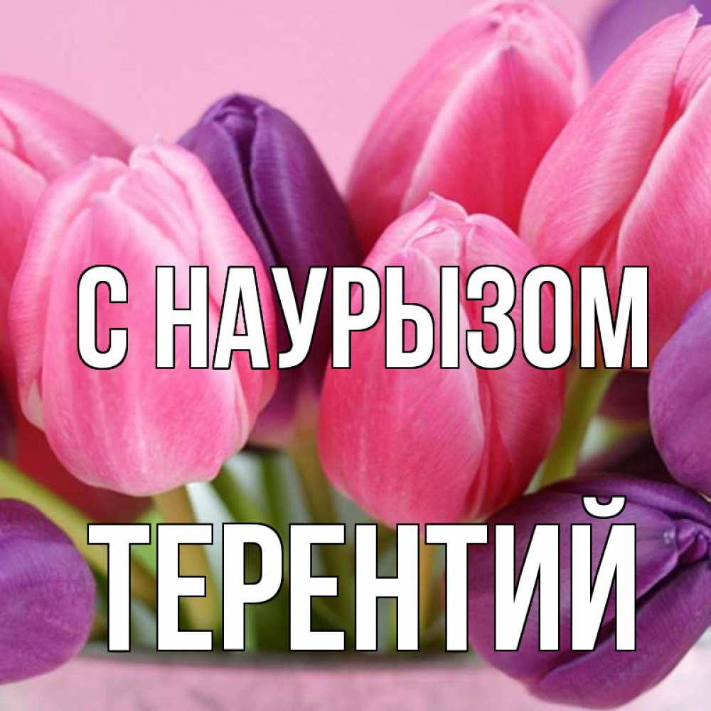 Открытка на каждый день с именем, Терентий С наурызом маме 1 Прикольная открытка с пожеланием онлайн скачать бесплатно 