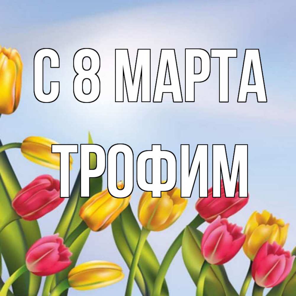 Открытка на каждый день с именем, Трофим С 8 МАРТА международный женский день Прикольная открытка с пожеланием онлайн скачать бесплатно 