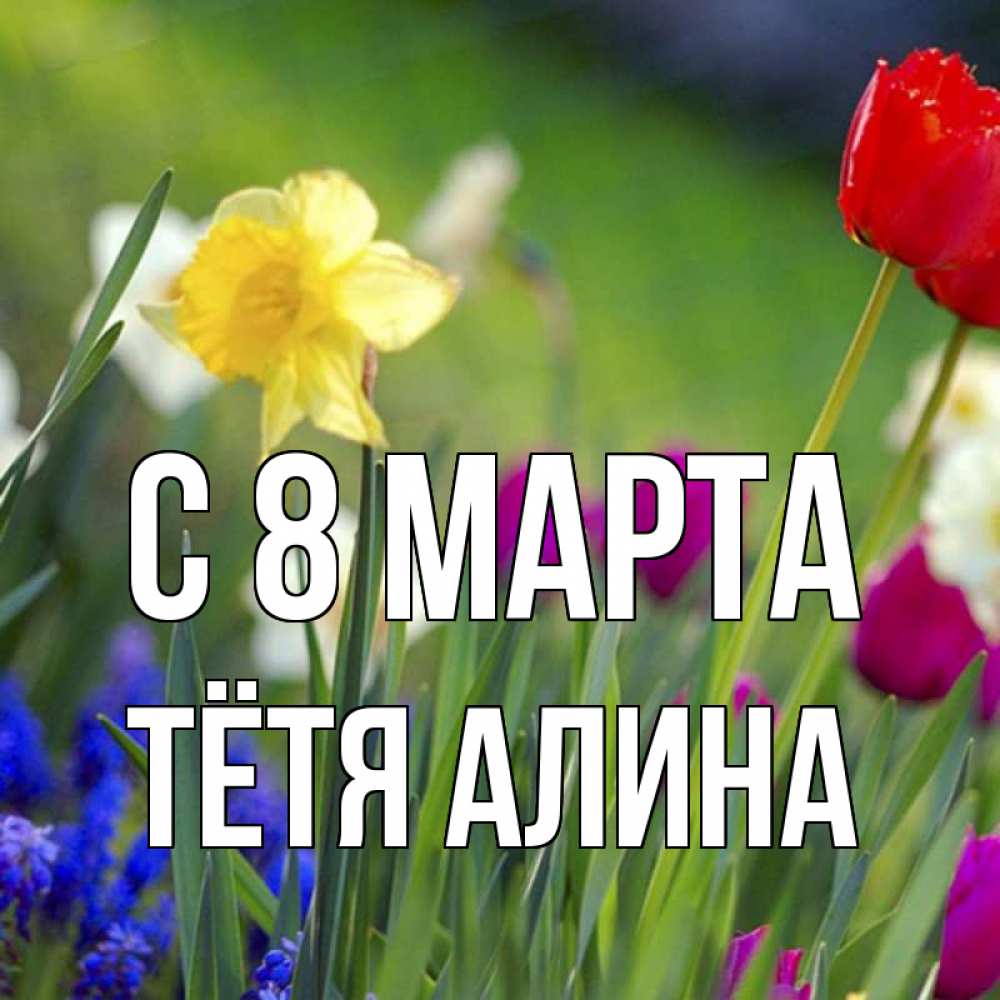 Открытка на каждый день с именем, Тётя-Алина С 8 МАРТА международный женский день 3 Прикольная открытка с пожеланием онлайн скачать бесплатно 