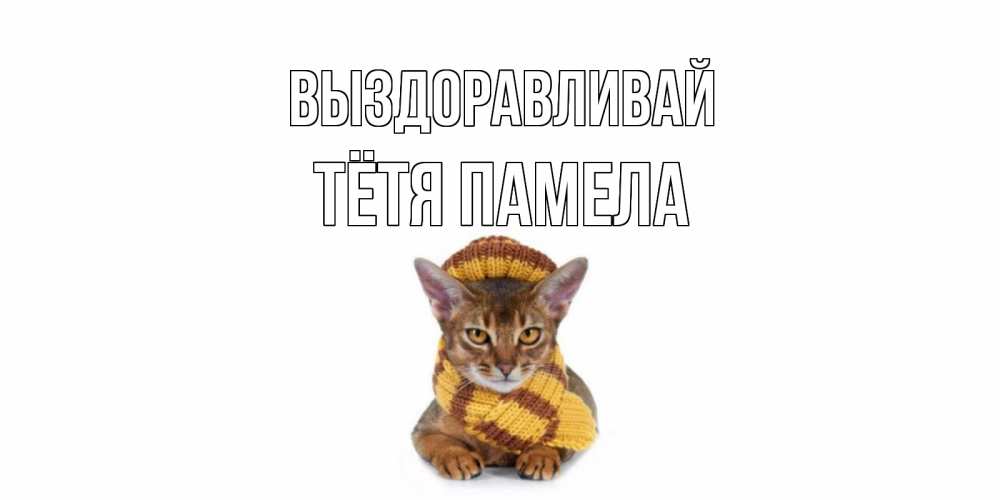 Открытка на каждый день с именем, Тётя-Памела Выздоравливай родные не болейте Прикольная открытка с пожеланием онлайн скачать бесплатно 