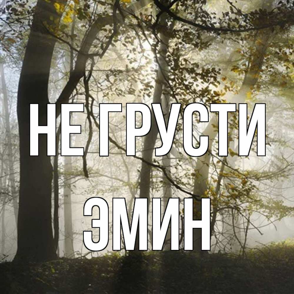 Открытка на каждый день с именем, Эмин Не грусти лес и свет Прикольная открытка с пожеланием онлайн скачать бесплатно 