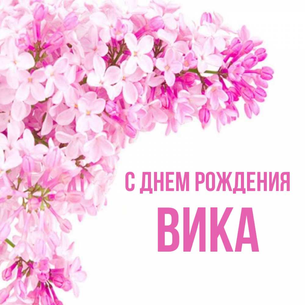 Открытка на каждый день с именем, вика С днем рождения Сирень на белом фоне Прикольная открытка с пожеланием онлайн скачать бесплатно 