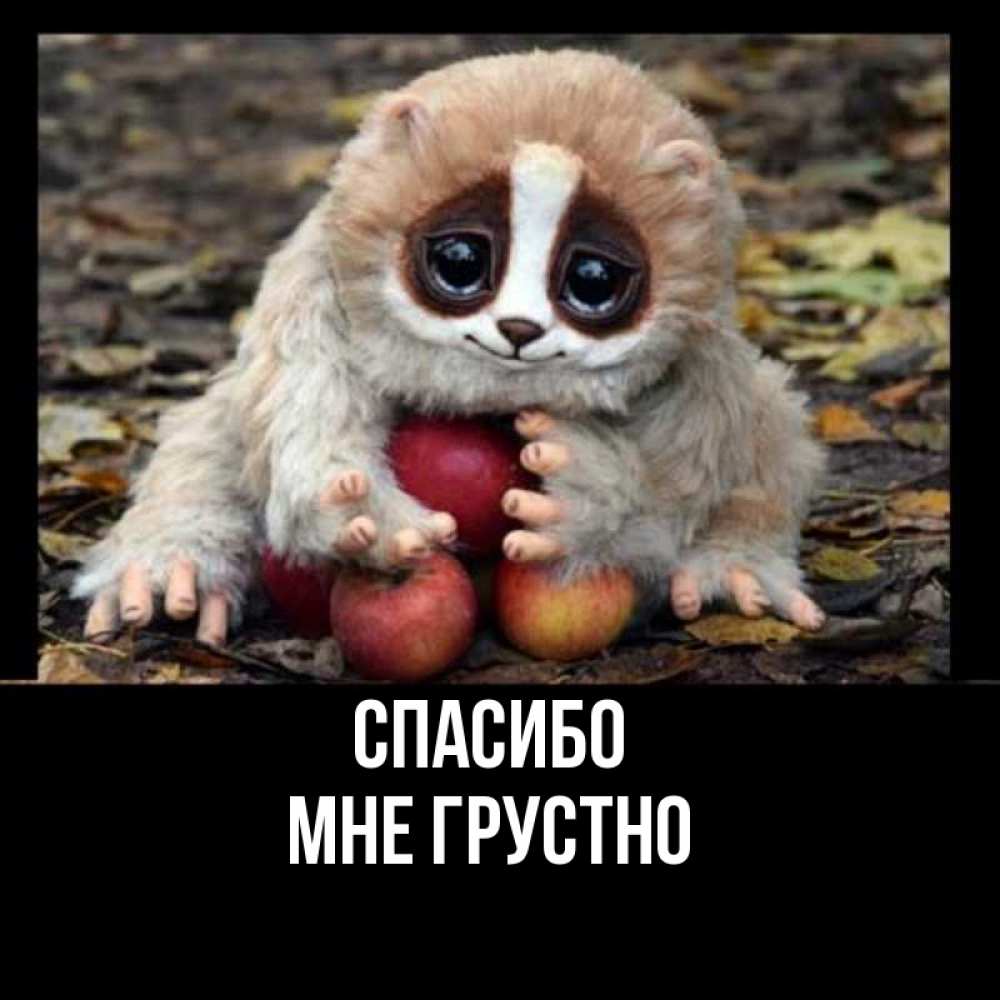 Открытка на каждый день с именем, Мне-грустно Спасибо прикольное животное Прикольная открытка с пожеланием онлайн скачать бесплатно 