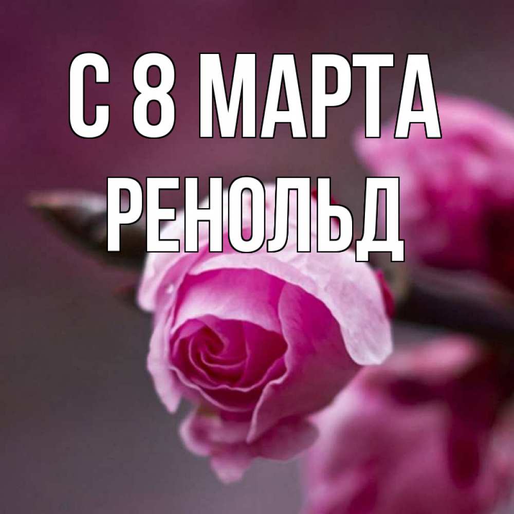 Открытка на каждый день с именем, Ренольд С 8 МАРТА весна Прикольная открытка с пожеланием онлайн скачать бесплатно 