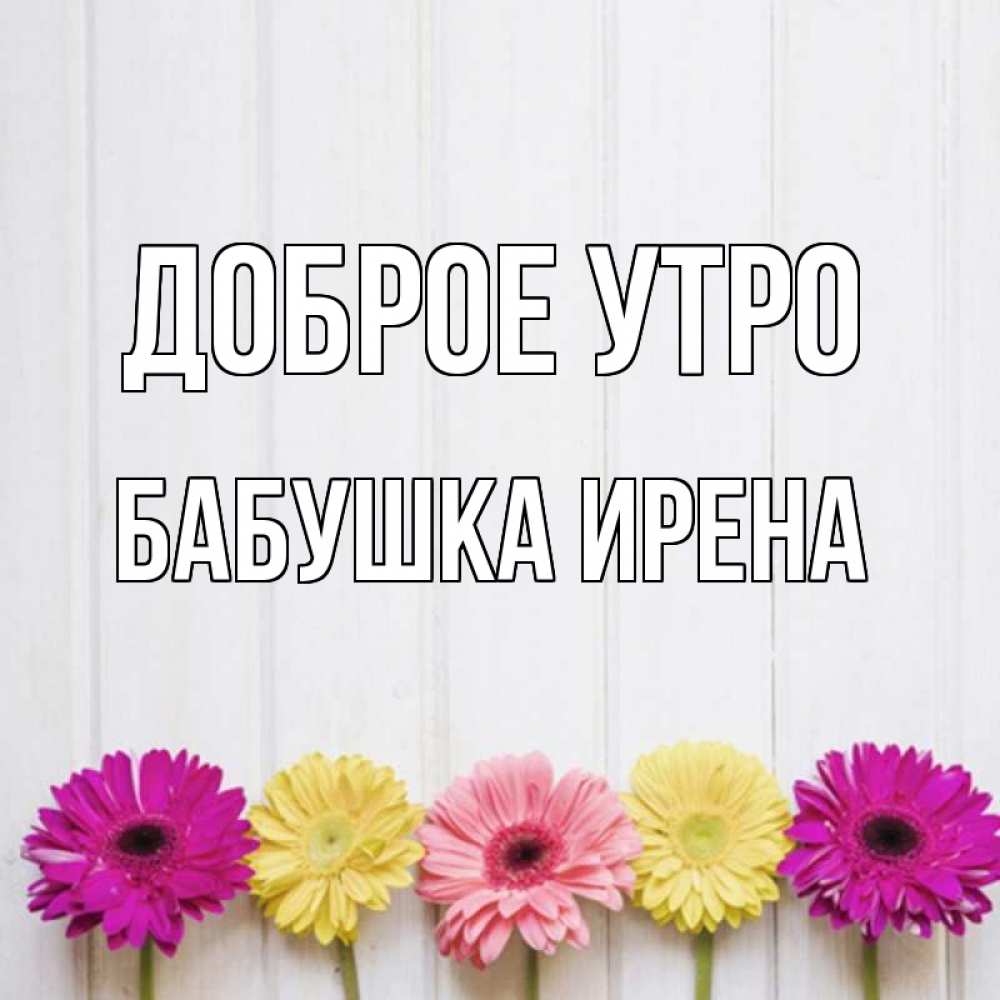 Открытка на каждый день с именем, Бабушка-Ирена Доброе утро красный желтый и розовый цветок Прикольная открытка с пожеланием онлайн скачать бесплатно 