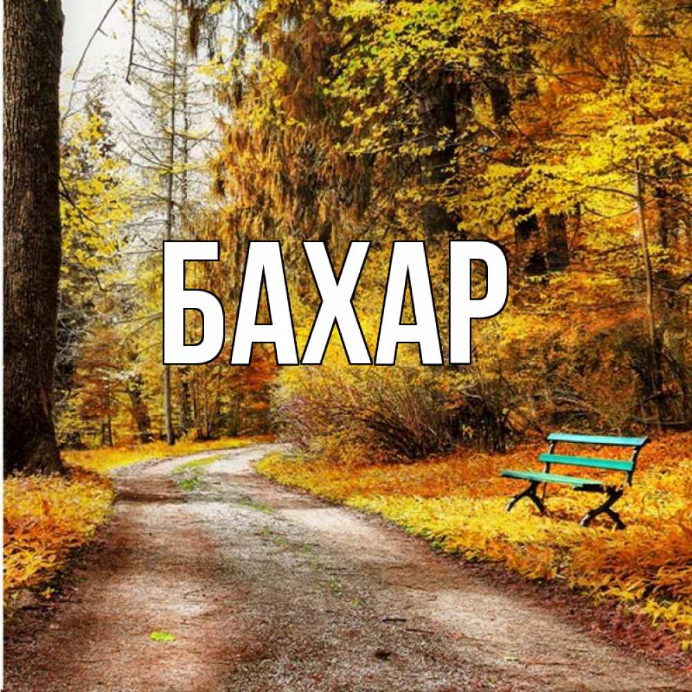Открытка на каждый день с именем, Бахар Главная зеленая лавочка и осенний лес Прикольная открытка с пожеланием онлайн скачать бесплатно 