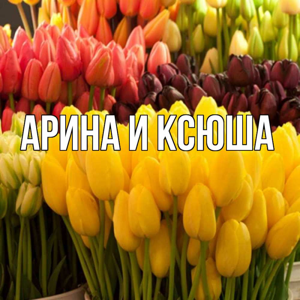 Картинка  с именем , Арина и Ксюша