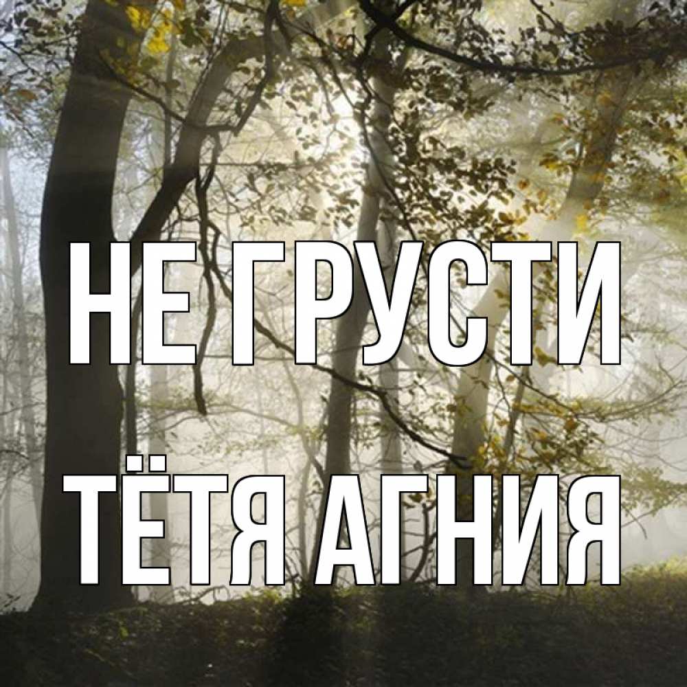 Открытка на каждый день с именем, Тётя-Агния Не грусти лес и свет Прикольная открытка с пожеланием онлайн скачать бесплатно 