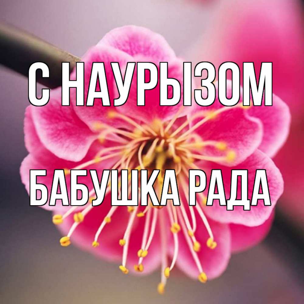 Открытка на каждый день с именем, Бабушка-Рада С наурызом цветы Прикольная открытка с пожеланием онлайн скачать бесплатно 